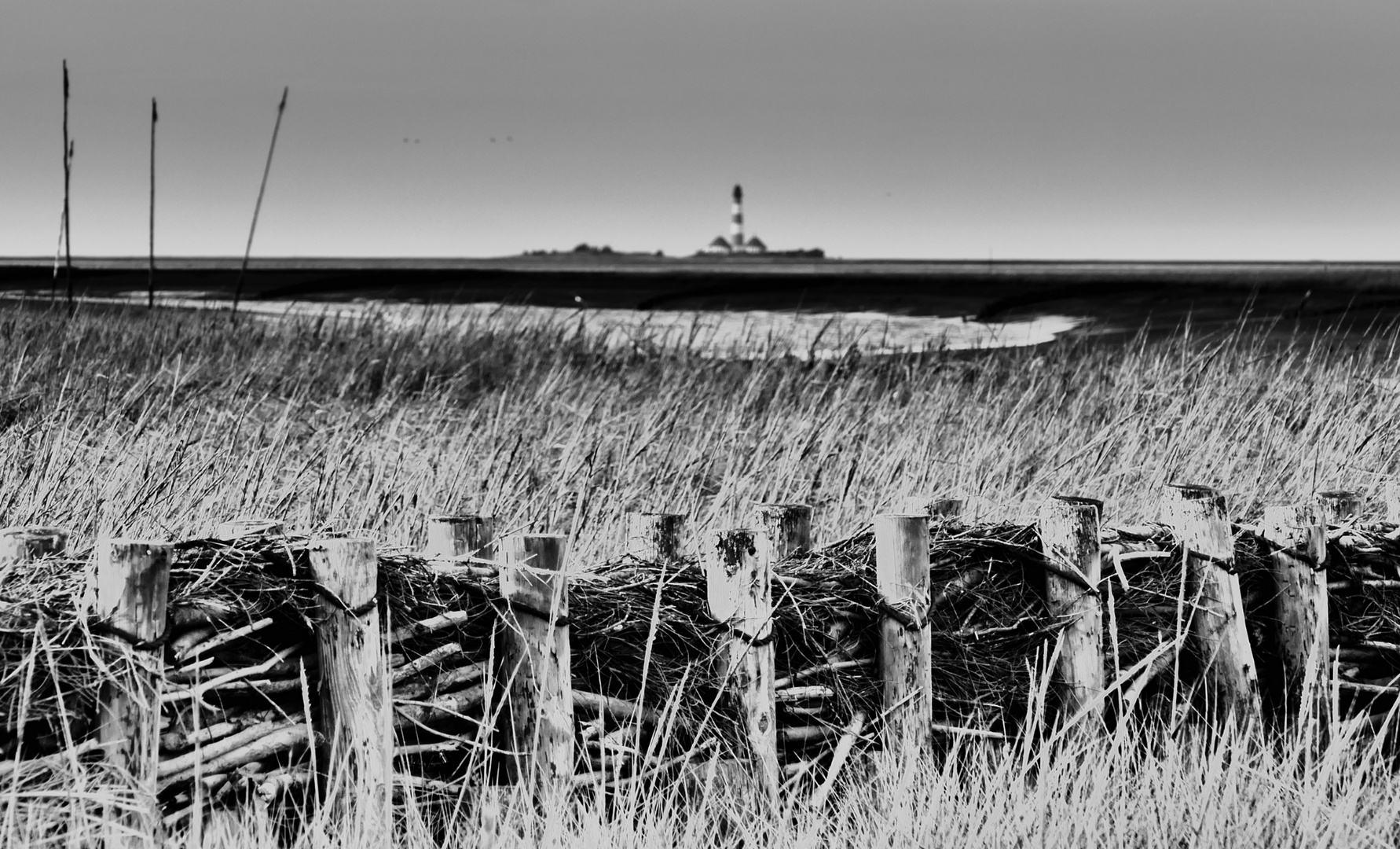 St. Peter Ording und Umgebung