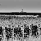 St. Peter Ording und Umgebung