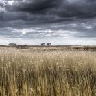 St. Peter Ording V