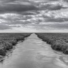 St. Peter Ording VI