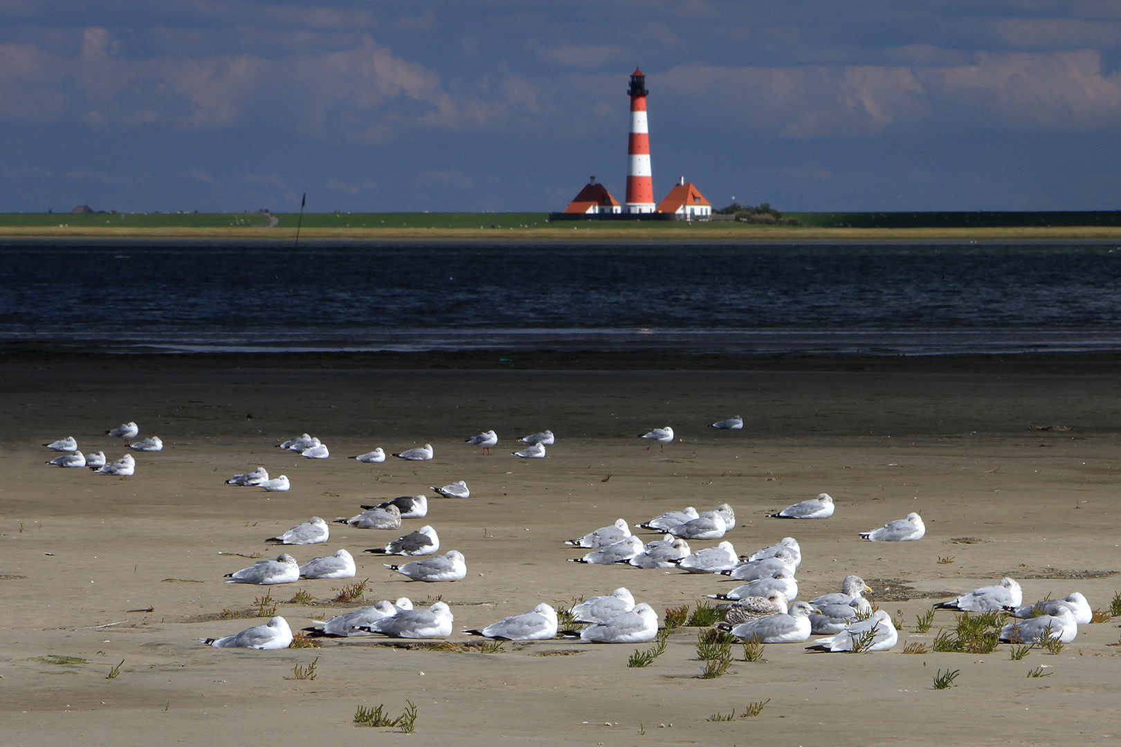 St. Peter Ording - Westerhevermöven