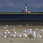 St. Peter Ording - Westerhevermöven