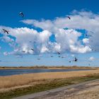 St. Peter Ording - Wolkengänse