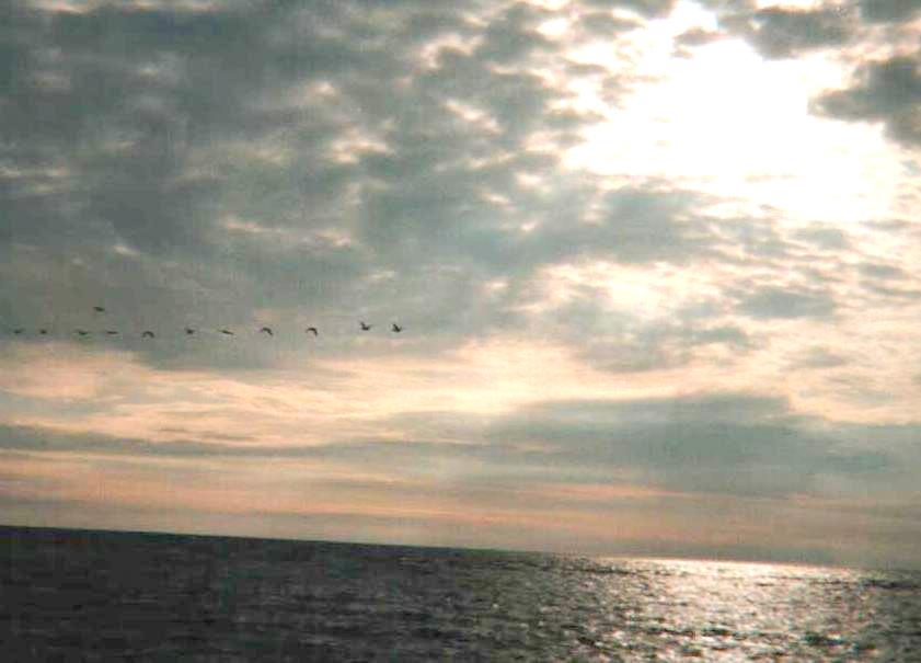 St. Peter Ording2