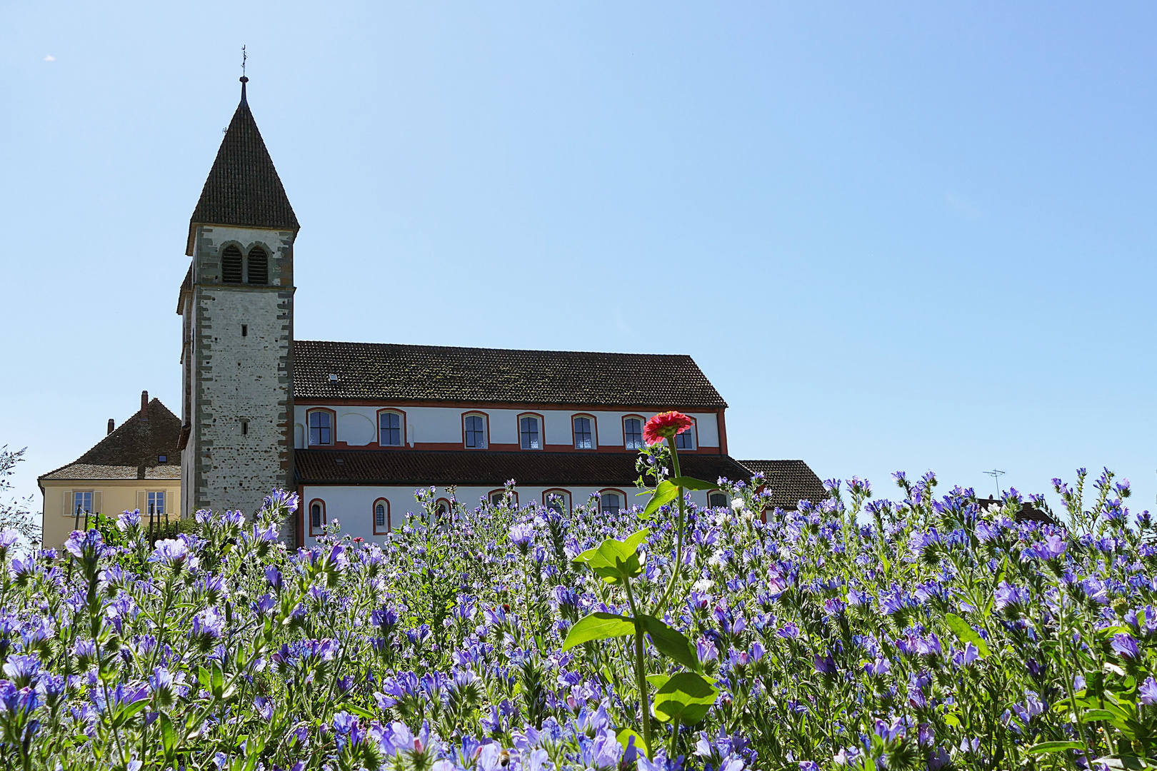 St. Peter und Paul auf der Reichenau