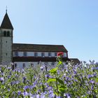 St. Peter und Paul auf der Reichenau