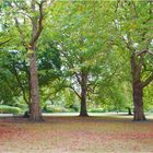 St Stephen's Green Park