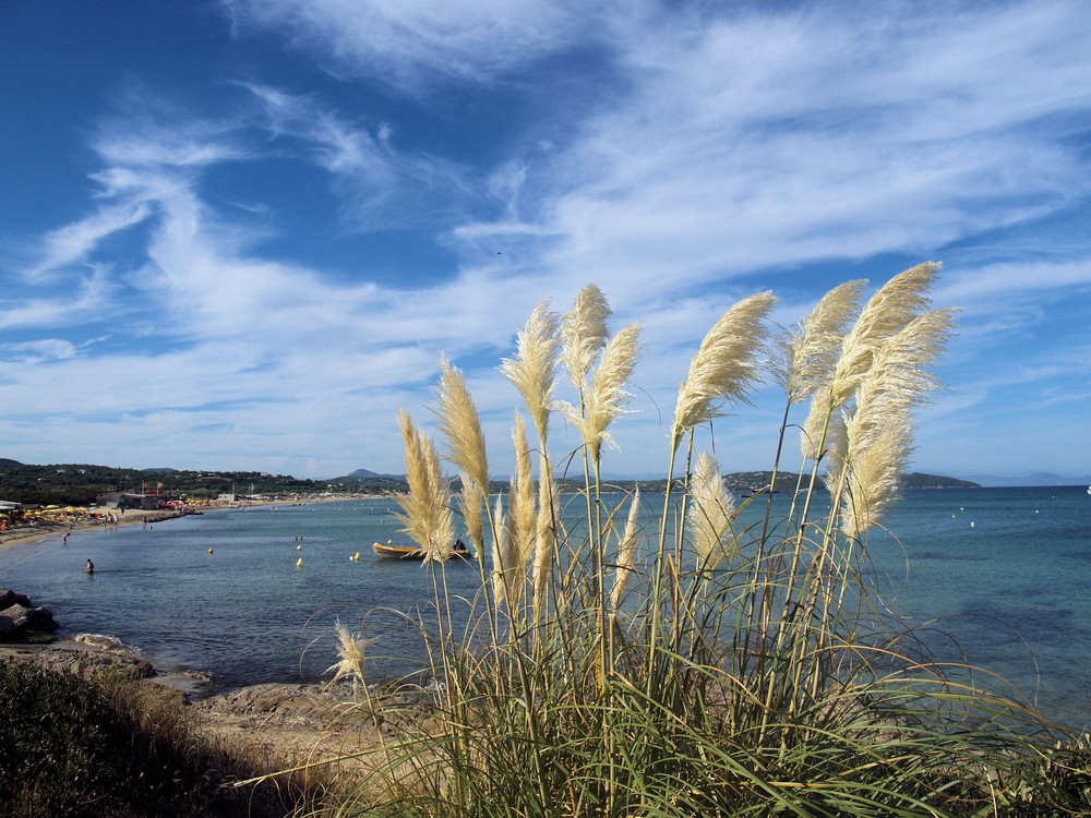 St. Tropez