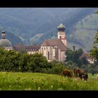 St. Trudpert - Münstertal