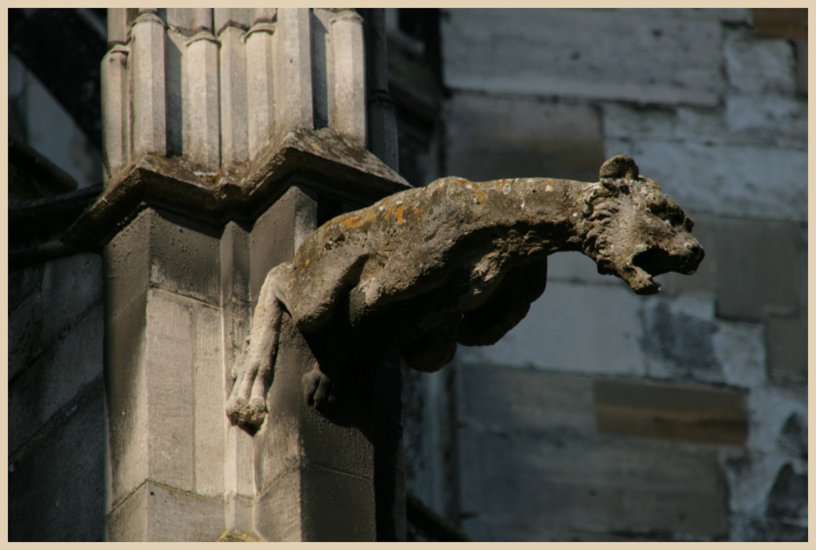 St Urbain Troyes gargoyle 1