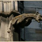 St Urbain Troyes gargoyle 1