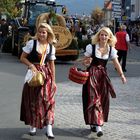 St. Veiter Wiesenmarkt bunt 8