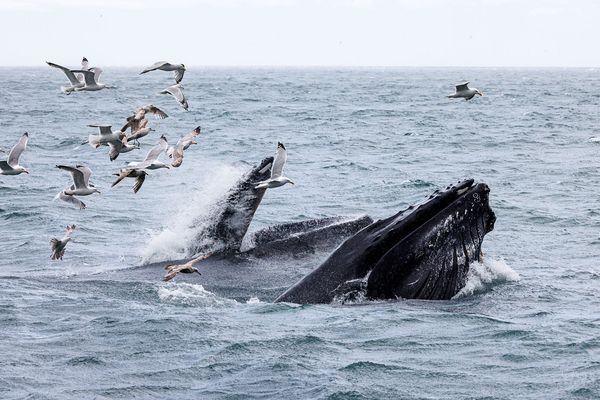 St. Vincent’s Beach