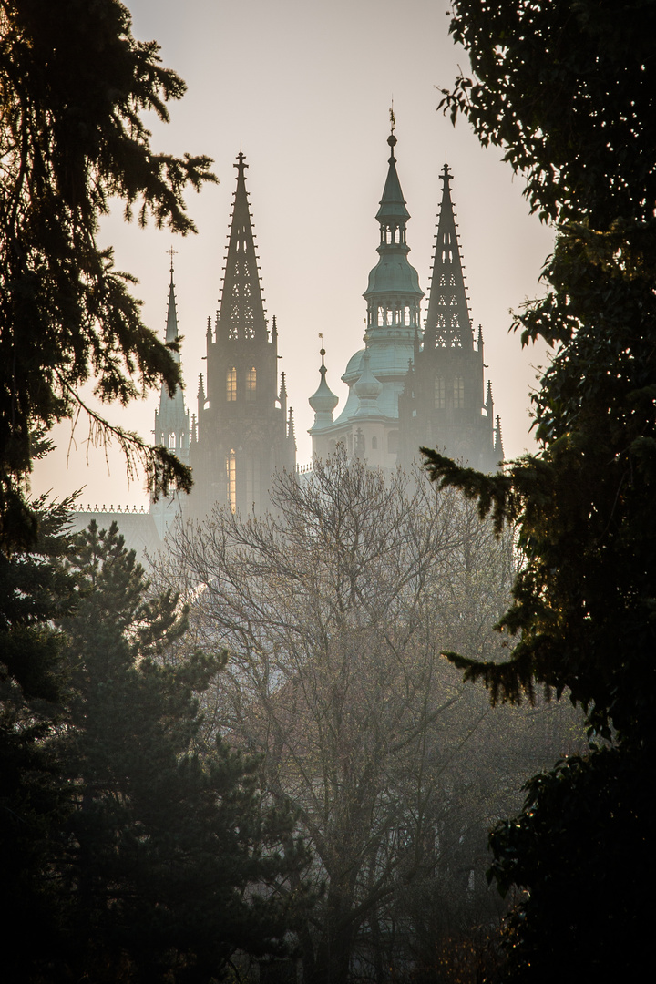 St. Vitus Cathedral