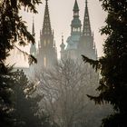 St. Vitus Cathedral