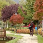 sta arrivando l'autunno