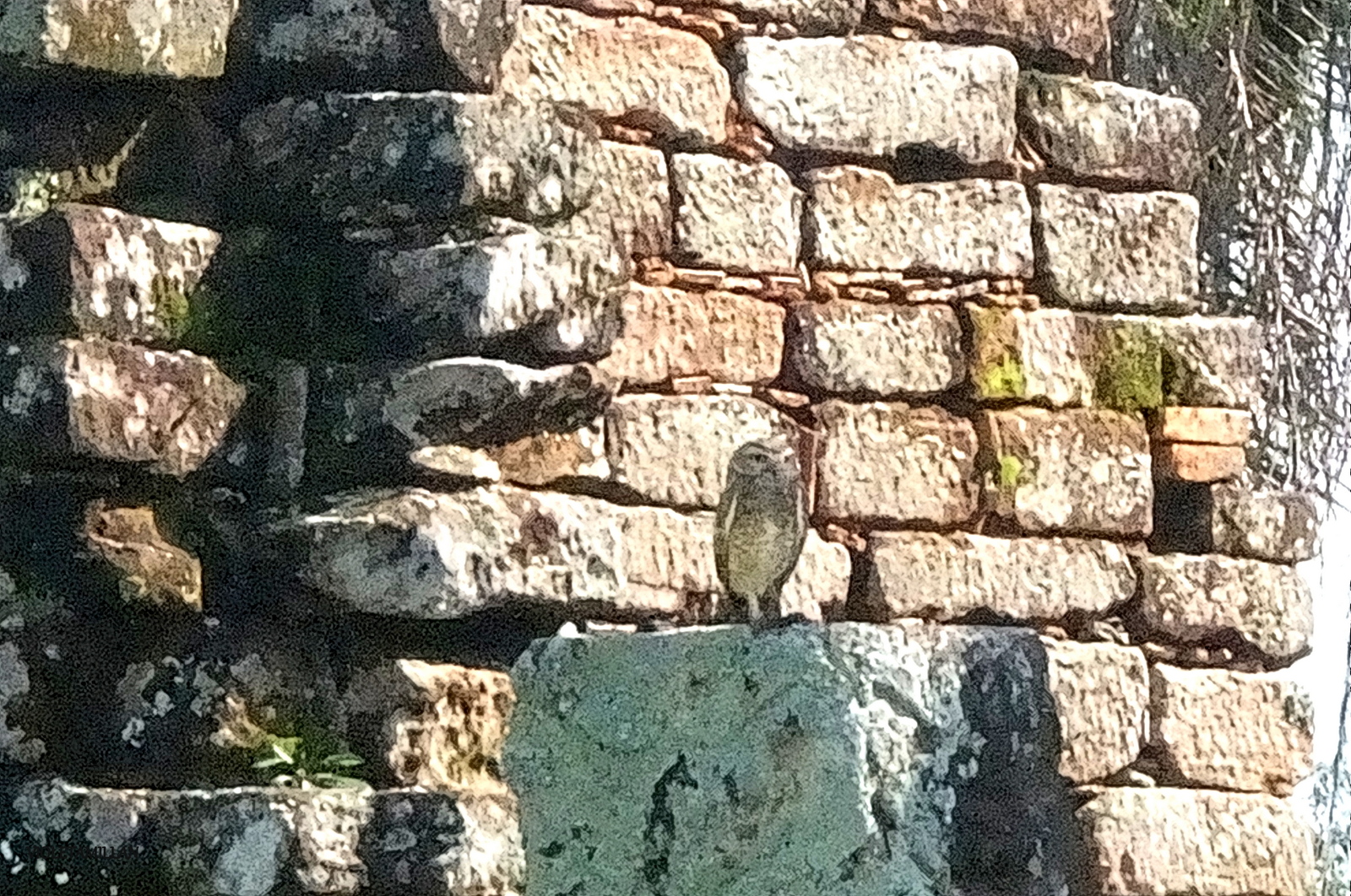 STA TRINIDAD,RUINAS JESUITICAS