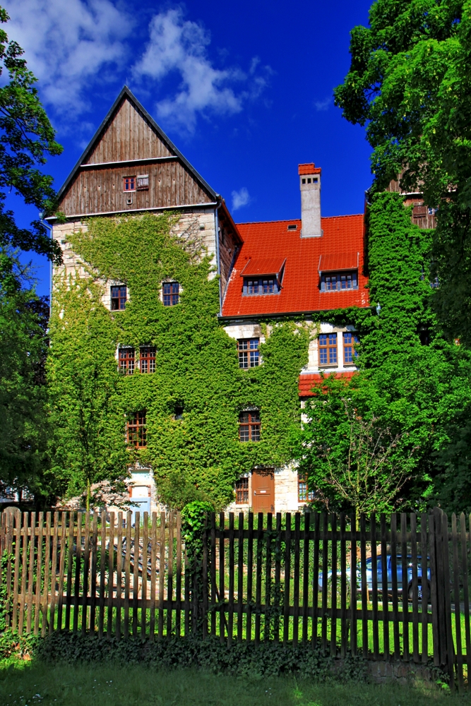 Staatliche Vogelschutzwarte Seebach (2)