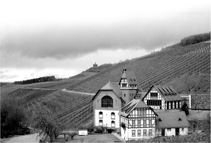 Staatliche Weinbaudomäne Avelsbach, Trier