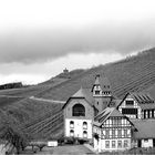 Staatliche Weinbaudomäne Avelsbach, Trier