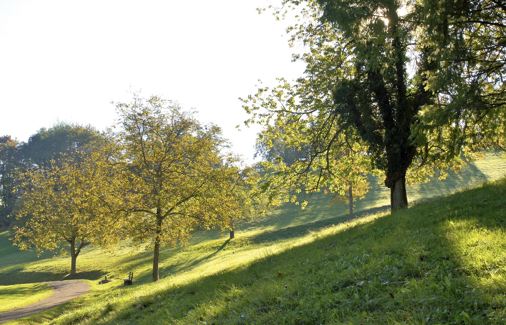 Staatspark Fürstenlager - Auerbach