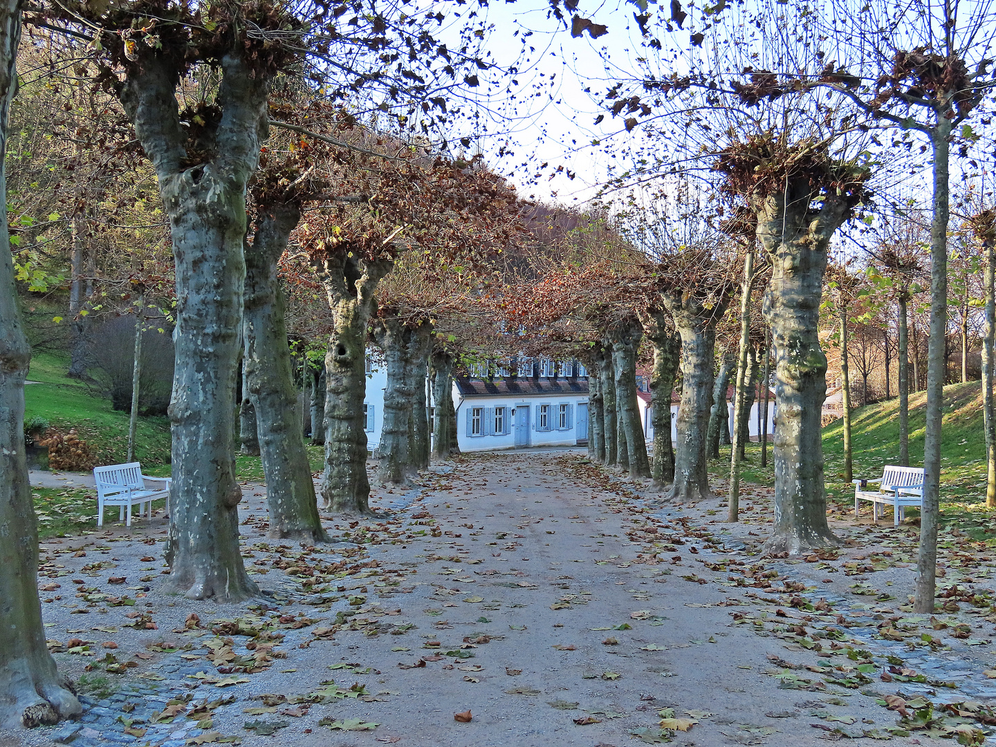 Staatspark Fürstenlager Bensheim