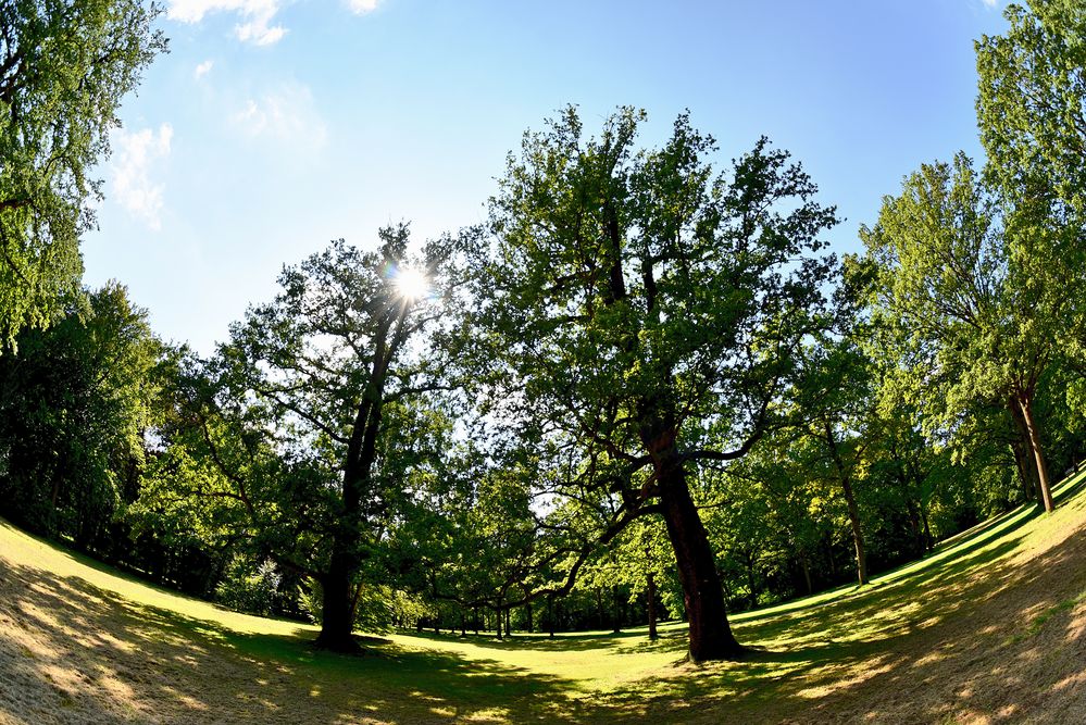 Staatspark Karlsaue 06 Foto & Bild deutschland, europe, hessen Bilder