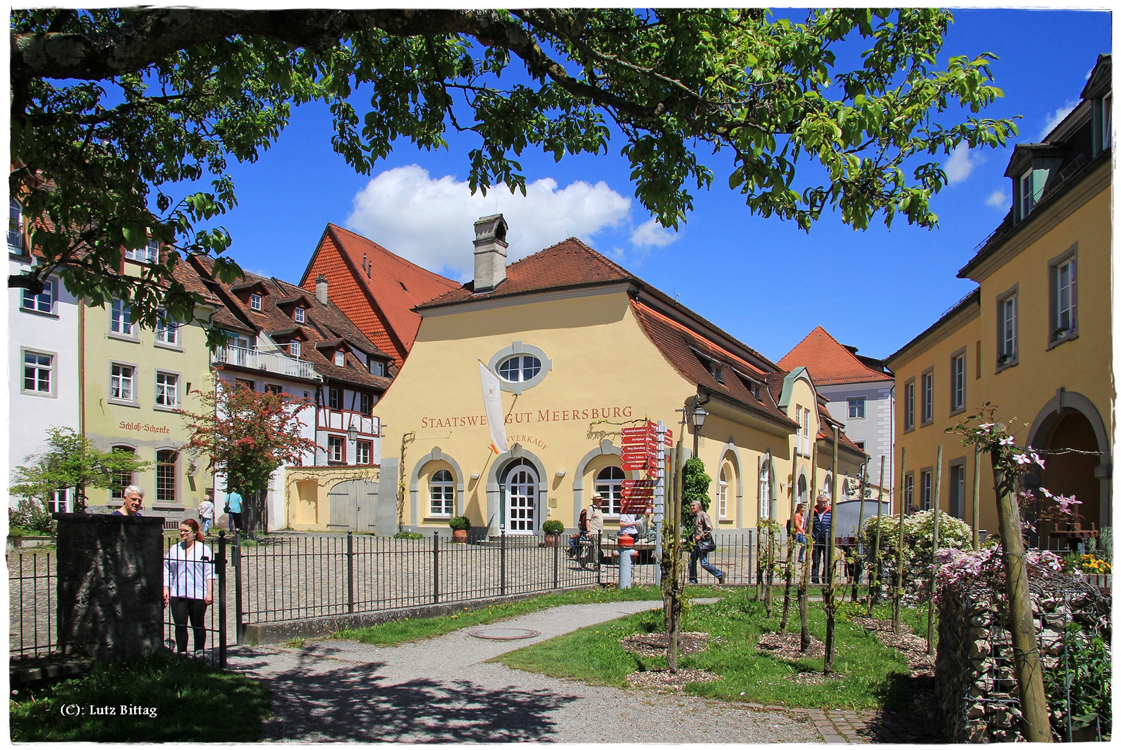 Staatsweingut Meersburg (2)