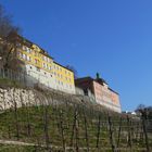 Staatsweingut Meersburg