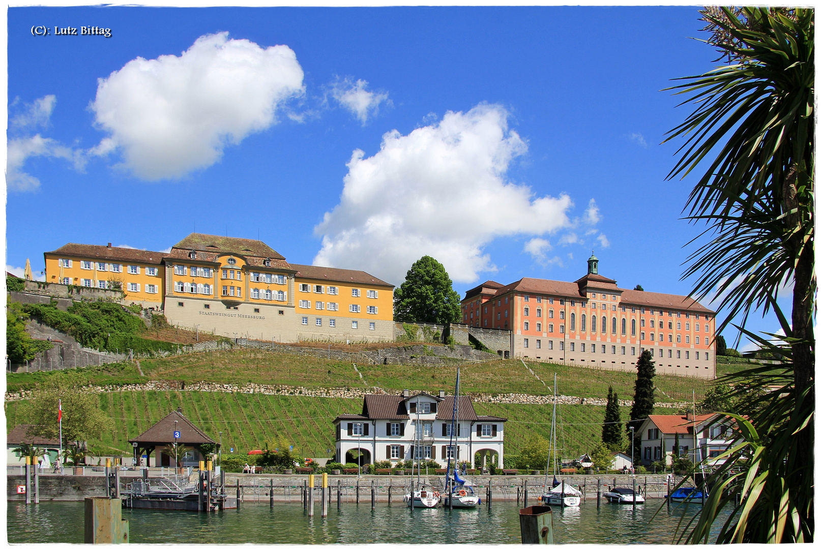 Staatsweingut Meersburg