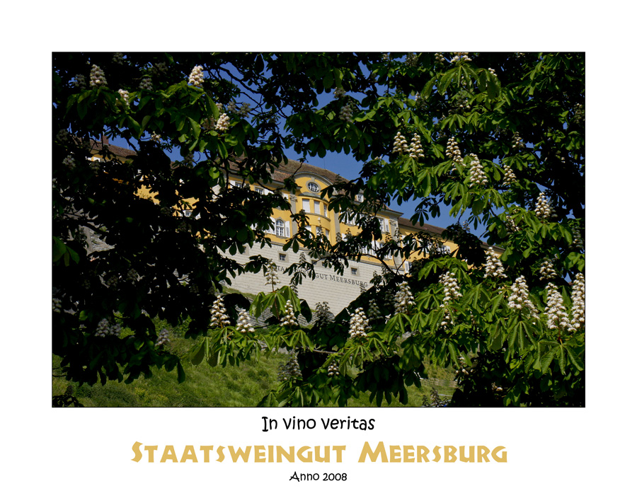 Staatsweingut Meersburg