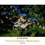 Staatsweingut Meersburg