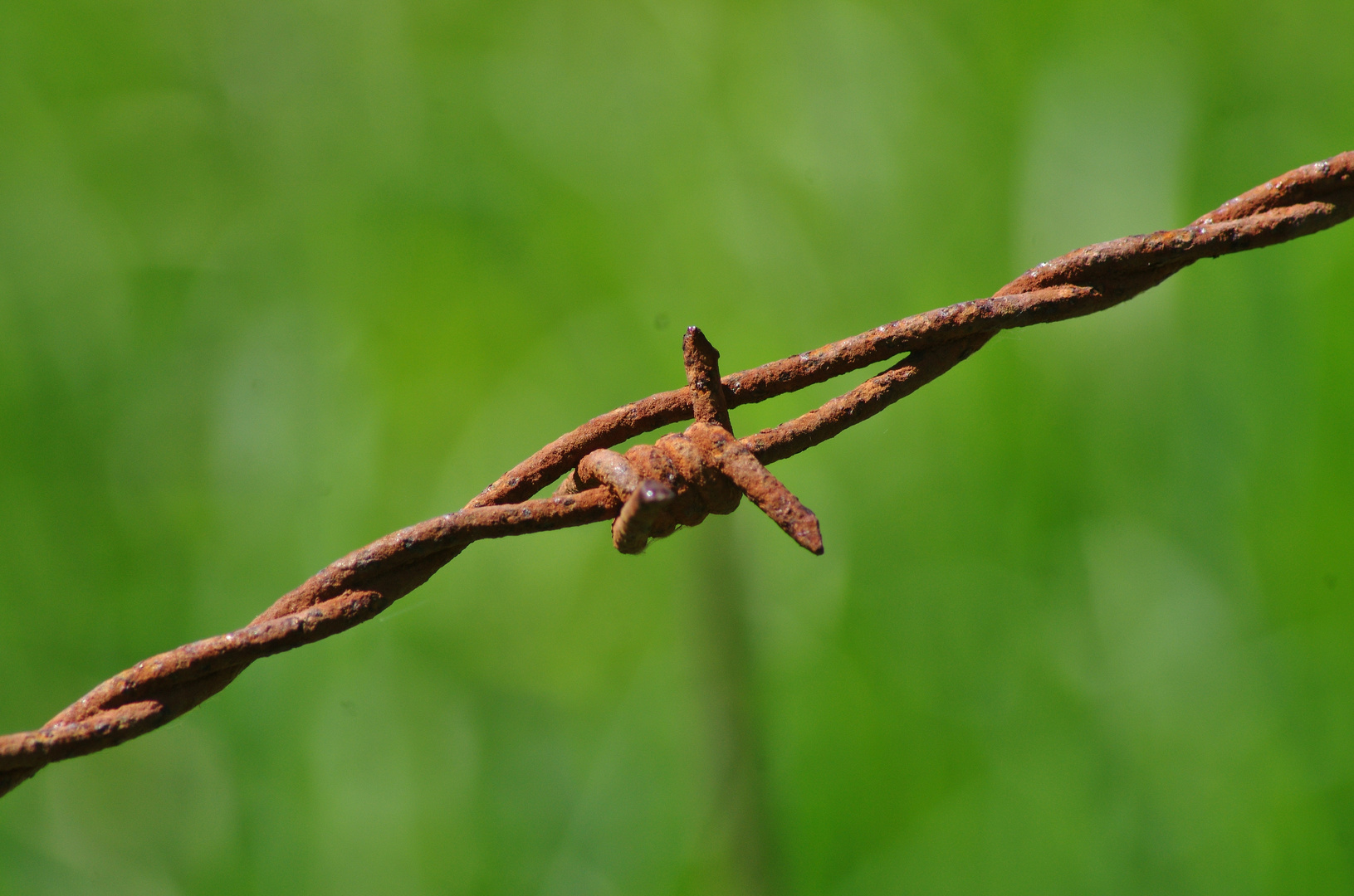 Stacheldraht