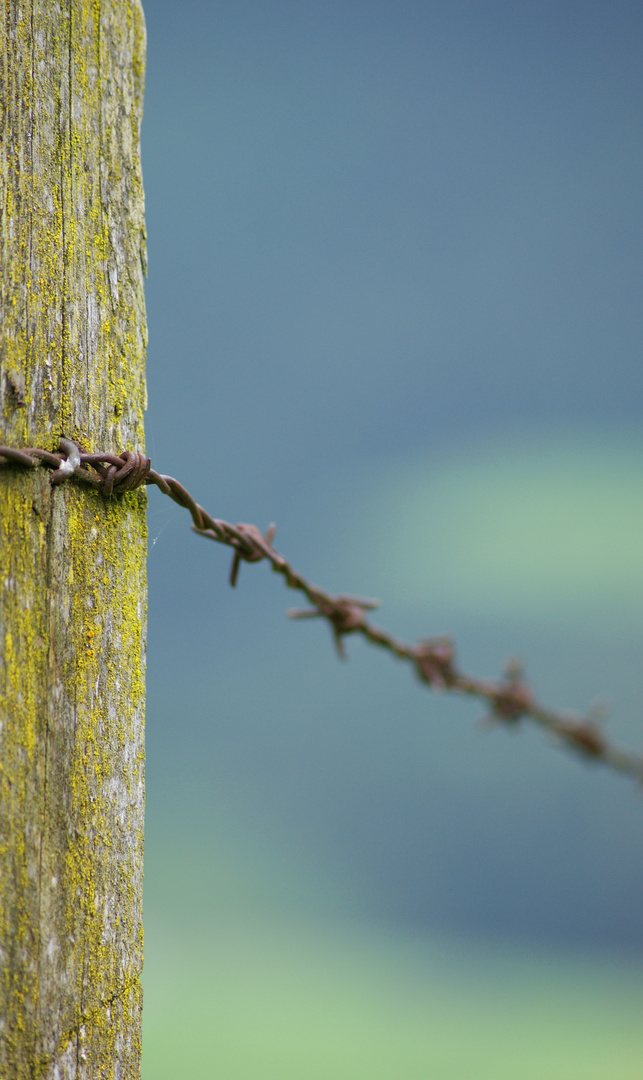 stacheldraht