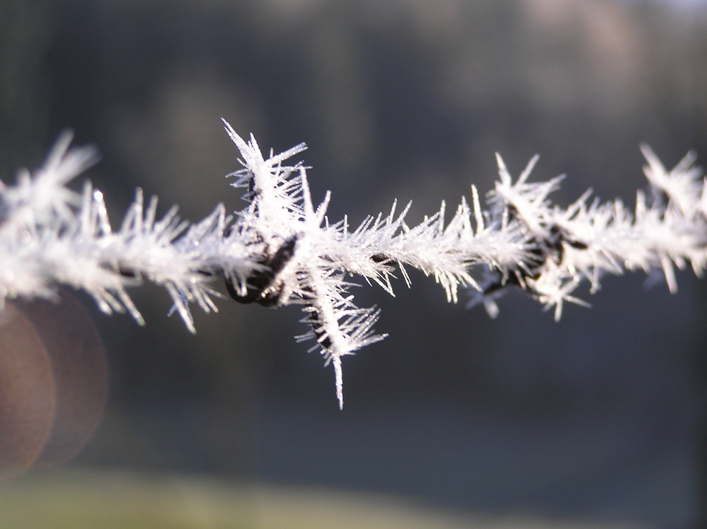 Stacheldraht