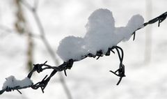 Stacheldraht hält sogar Schnee zurück