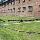 Stacheldraht im Auschwitzer KZ