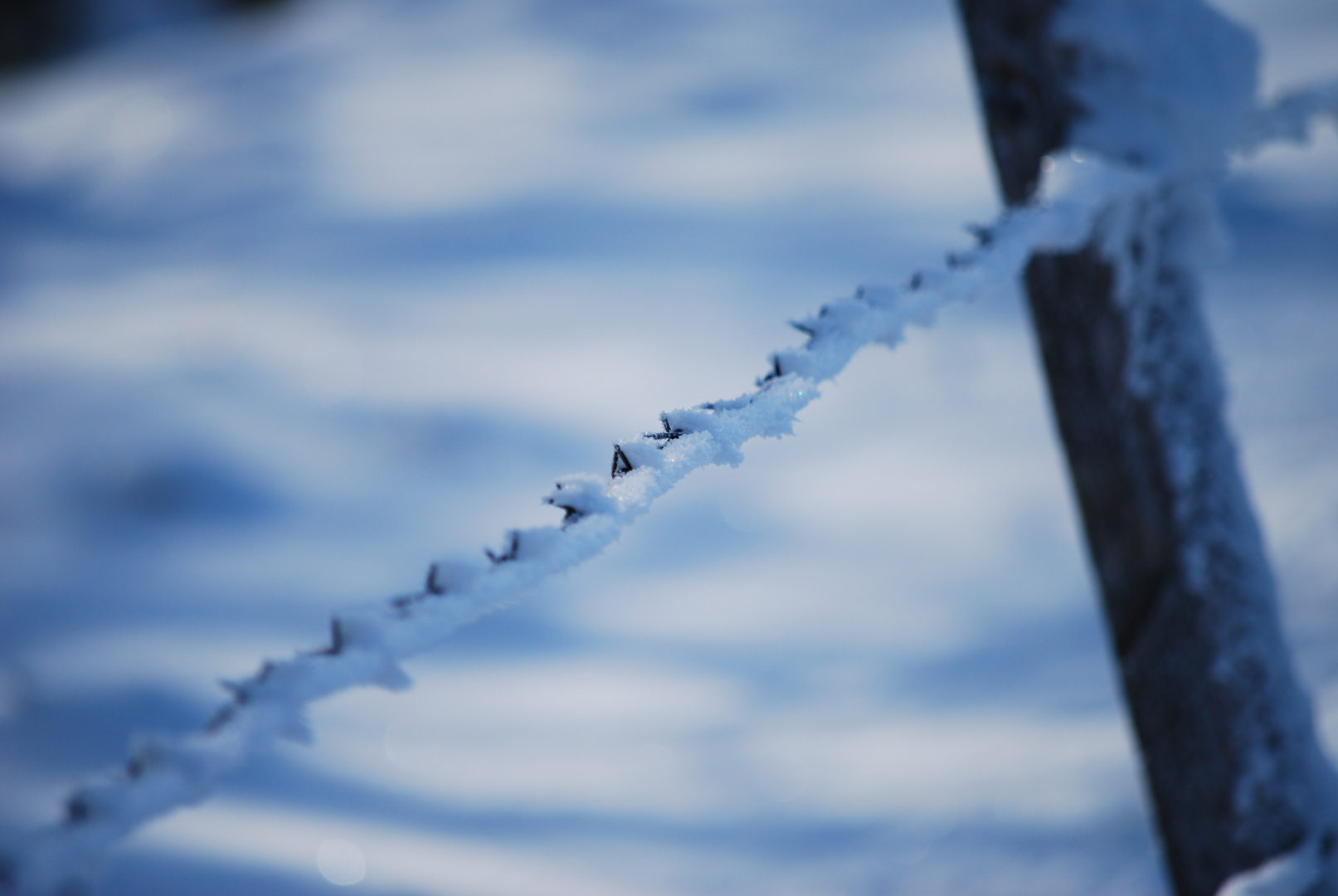 Stacheldraht im Schnee