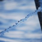 Stacheldraht im Schnee