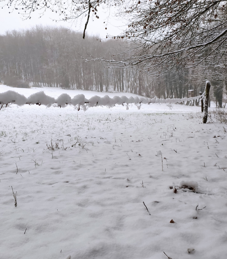 Stacheldraht im Schnee