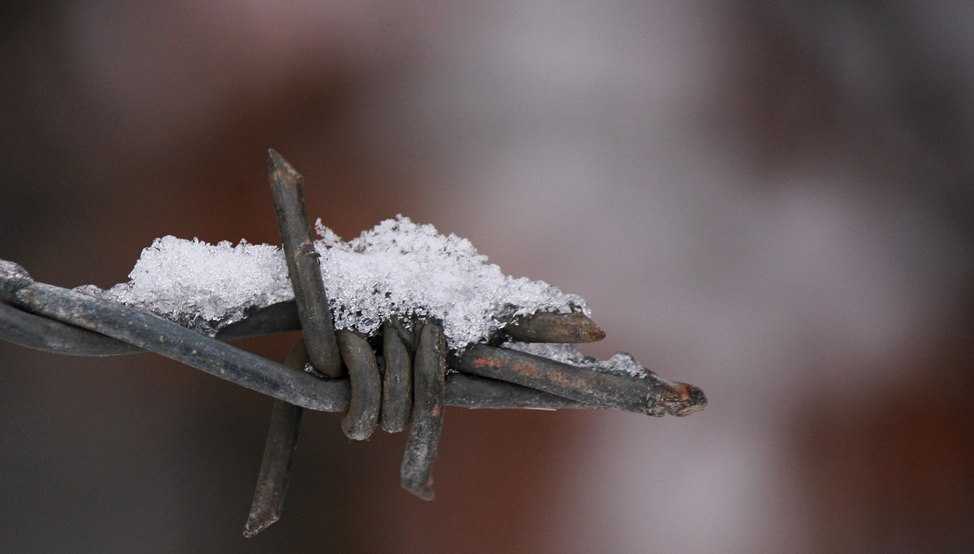 Stacheldraht im Winter