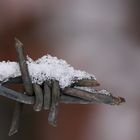 Stacheldraht im Winter