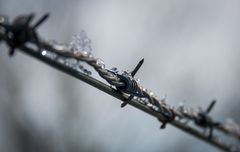 Stacheldraht im Winter