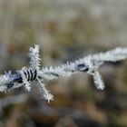 Stacheldraht im Winter