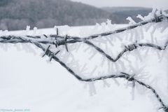 Stacheldraht in Eis