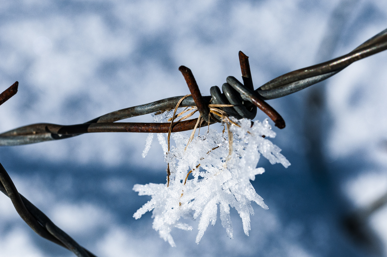 Stacheldraht mit Schneekristall