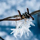 Stacheldraht mit Schneekristall