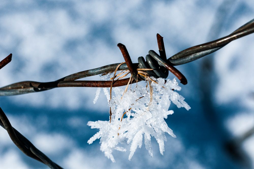 Stacheldraht mit Schneekristall