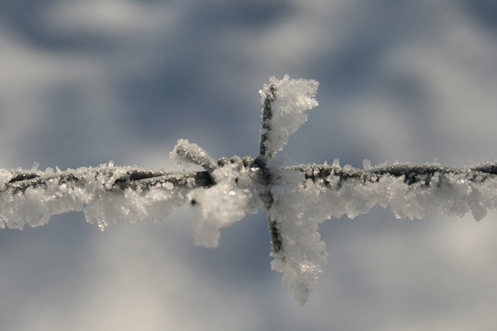 Stacheldraht :o)