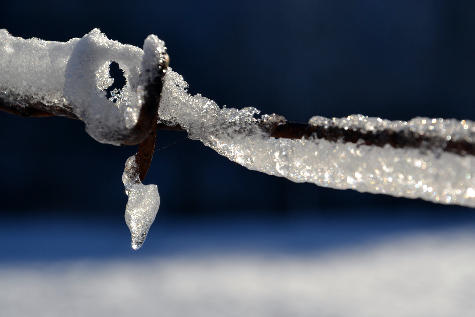 Stacheldraht und Zuckerguss